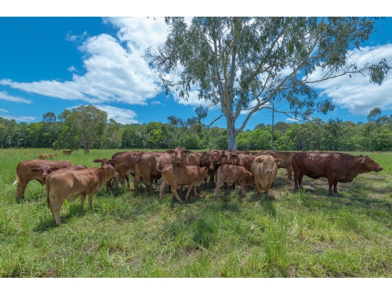 Lot 13 Echidna Lane, Lake Macdonald QLD 4563