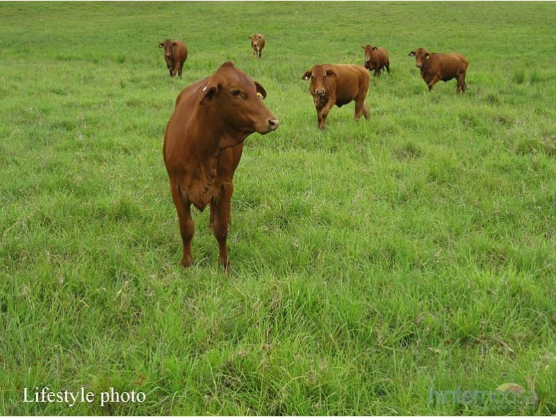 22 Princess Street, Cooran QLD 4569