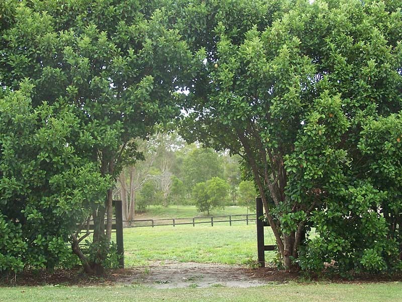 Lot 5, Hartford Park, Racehorse Lane, Lake Macdonald QLD 4563