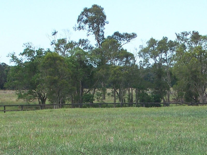 Lot 5, Hartford Park, Racehorse Lane, Lake Macdonald QLD 4563
