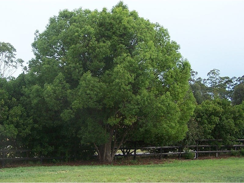 Lot 5, Hartford Park, Racehorse Lane, Lake Macdonald QLD 4563