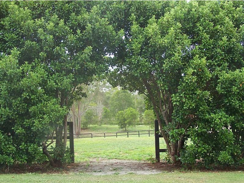 Lot 6, Hartford Park,  Racehorse Lane, Lake Macdonald QLD 4563