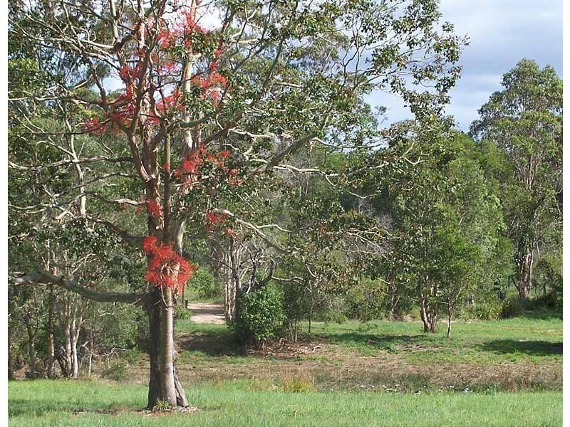 Lot 6, Hartford Park,  Racehorse Lane, Lake Macdonald QLD 4563