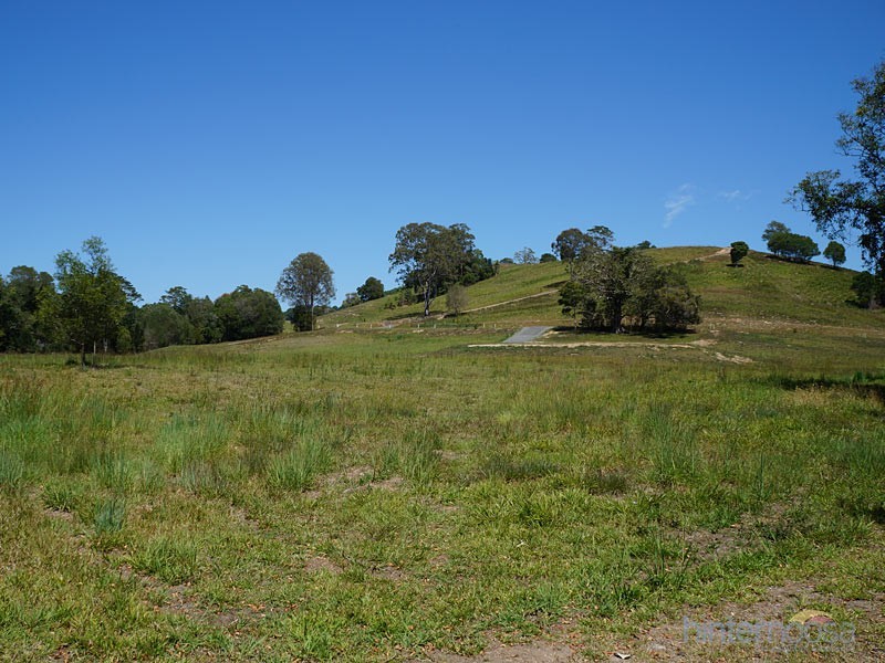 Lot 14 Coachwood Tce, Cooroy QLD 4563