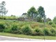 Lot 14 Coachwood Tce, Cooroy QLD 4563