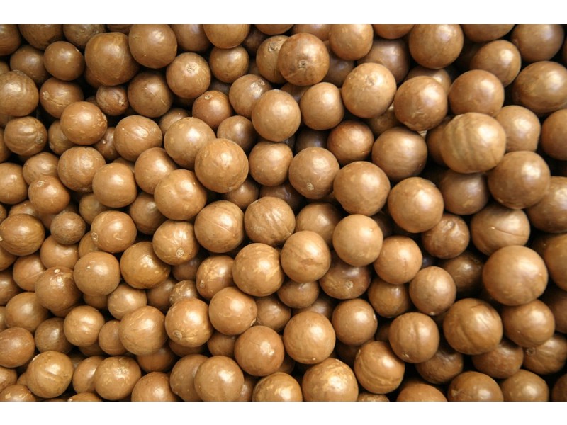 758 Louis Bazzo Drive, Ringtail Creek QLD 4565