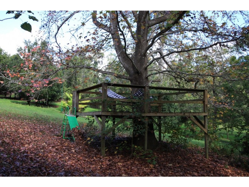 758 Louis Bazzo Drive, Ringtail Creek QLD 4565