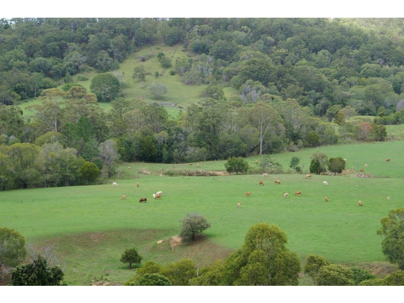 Lot 228 Simpsons Road, Cootharaba QLD 4565