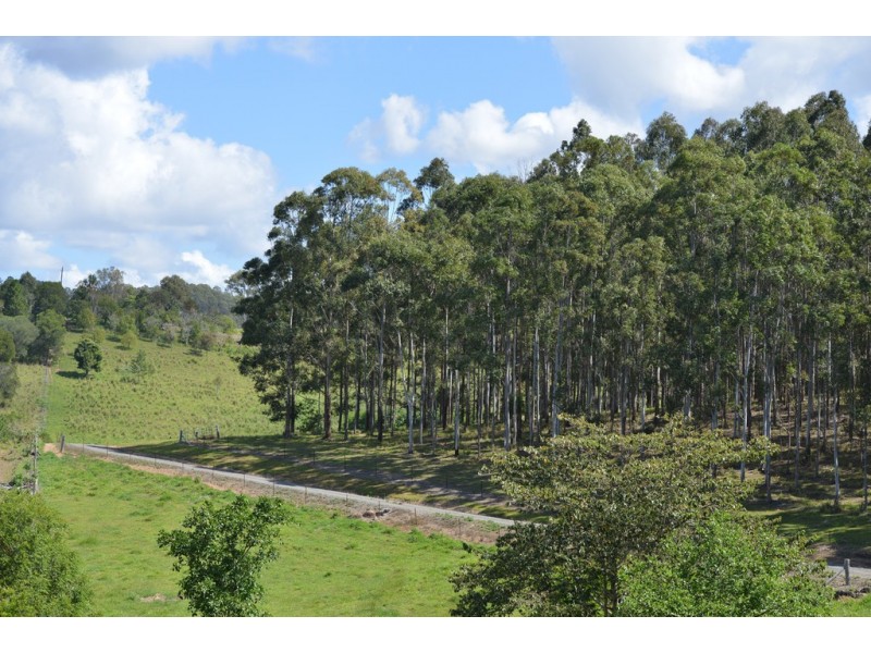 Lot 228 Simpsons Road, Cootharaba QLD 4565