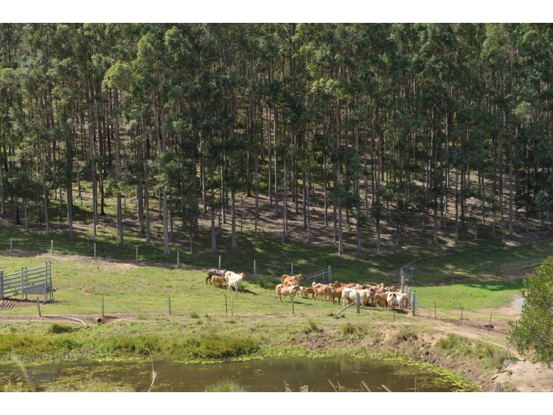 Lot 228 Simpsons Road, Cootharaba QLD 4565