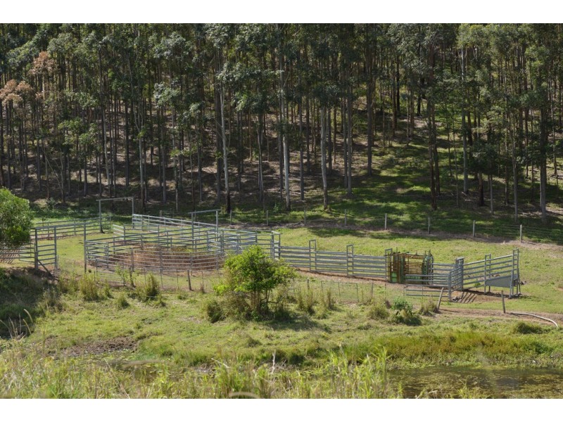 Lot 228 Simpsons Road, Cootharaba QLD 4565