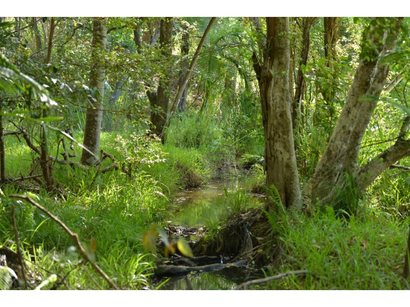 Lot 228 Simpsons Road, Cootharaba QLD 4565