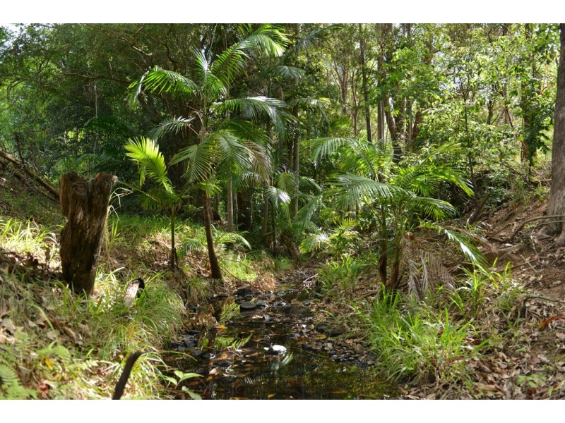 Lot 228 Simpsons Road, Cootharaba QLD 4565