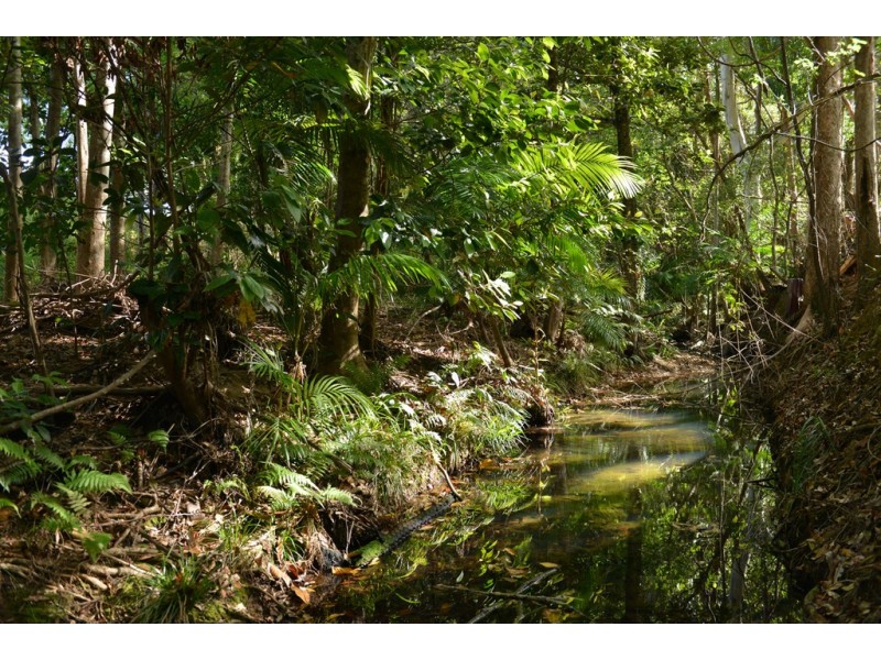 Lot 228 Simpsons Road, Cootharaba QLD 4565