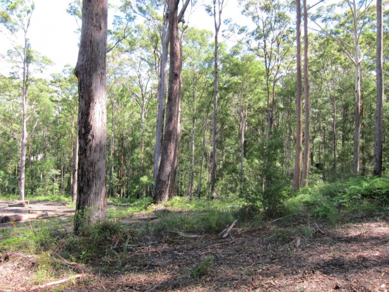 20 Dean Rd, Verrierdale QLD 4562