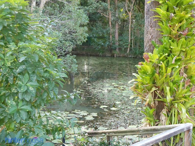 Unit 14, 1 Ferrells Road, Cooroy QLD 4563