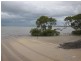Lot 489 Livistonia Drive, Poona QLD 4650