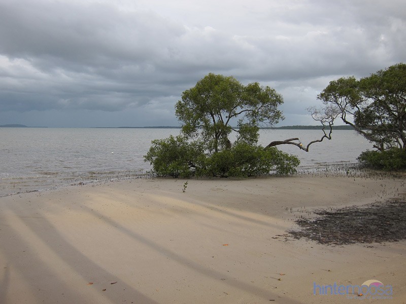Lot 489 Livistonia Drive, Poona QLD 4650