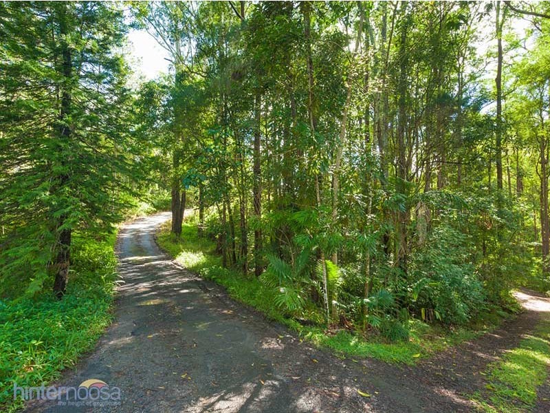 1318 Eumundi Noosa Road, Eumundi QLD 4562