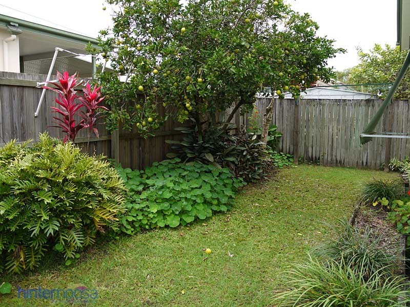 46/1 Ferrells Road, Cooroy QLD 4563