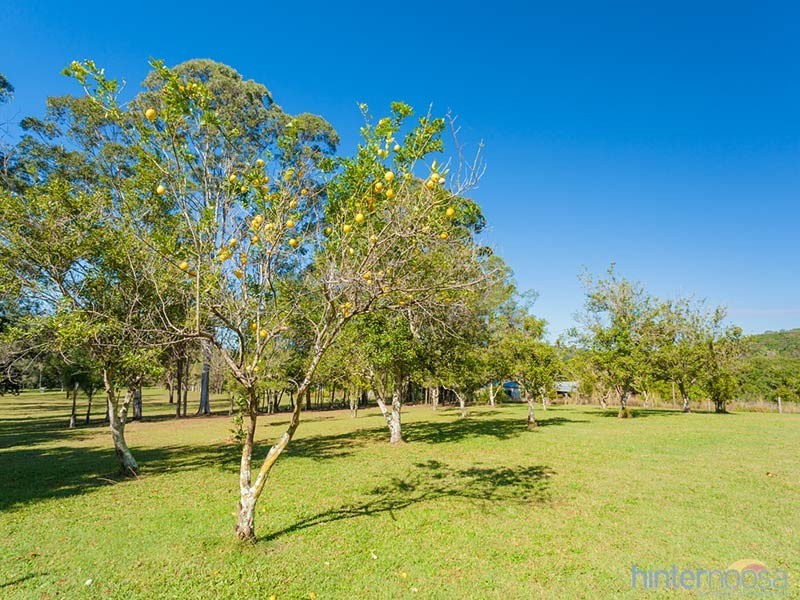 75 Don Napier Rd, Eumundi QLD 4562