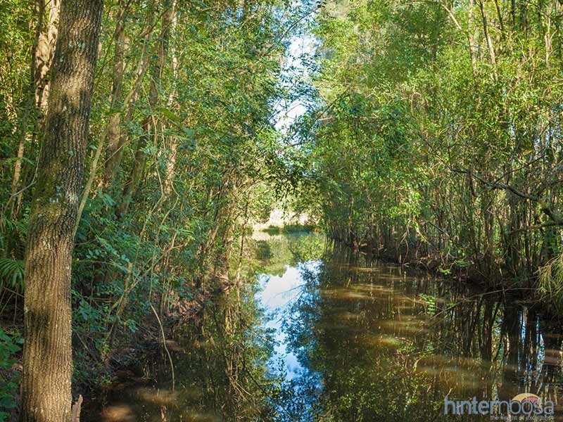 75 Don Napier Rd, Eumundi QLD 4562