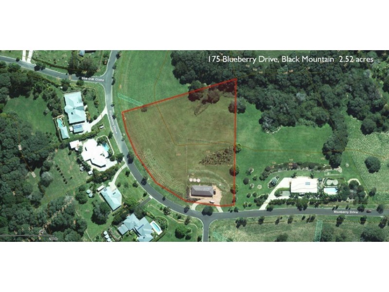175 Blueberry Drive, Black Mountain QLD 4563