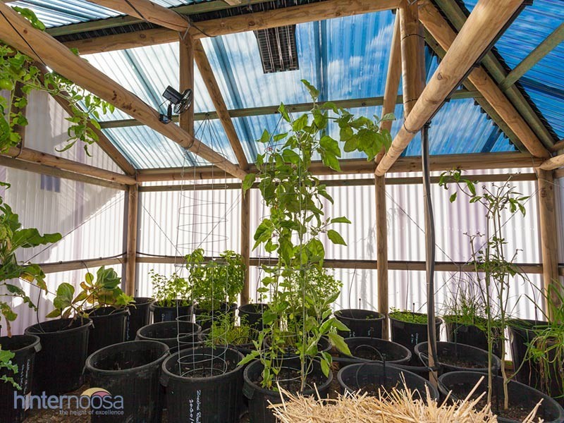 175 Blueberry Drive, Black Mountain QLD 4563