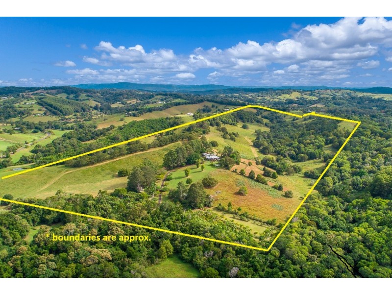 16 Palm Grove Road, Cooroy QLD 4563