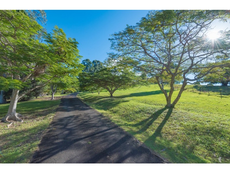 16 Palm Grove Road, Cooroy QLD 4563