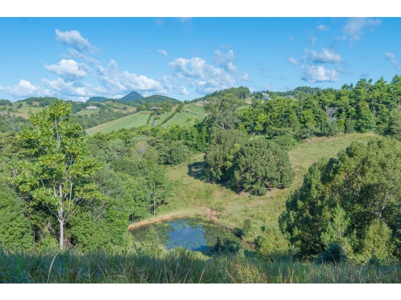 16 Palm Grove Road, Cooroy QLD 4563
