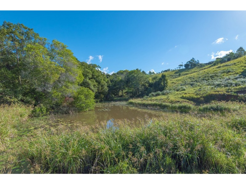 16 Palm Grove Road, Cooroy QLD 4563