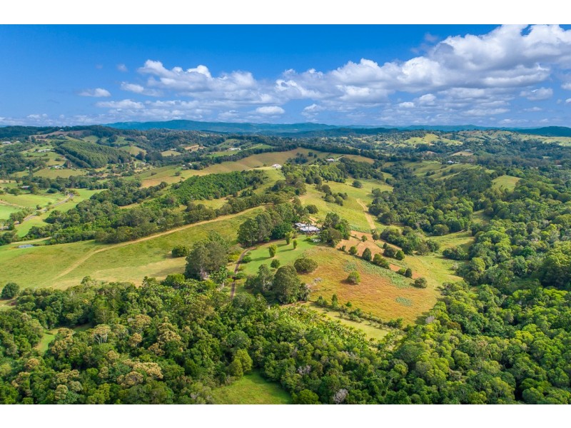 16 Palm Grove Road, Cooroy QLD 4563