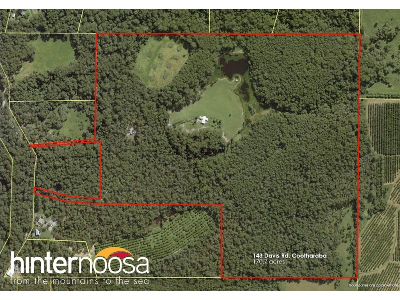 143 Davis Road, Cootharaba QLD 4565