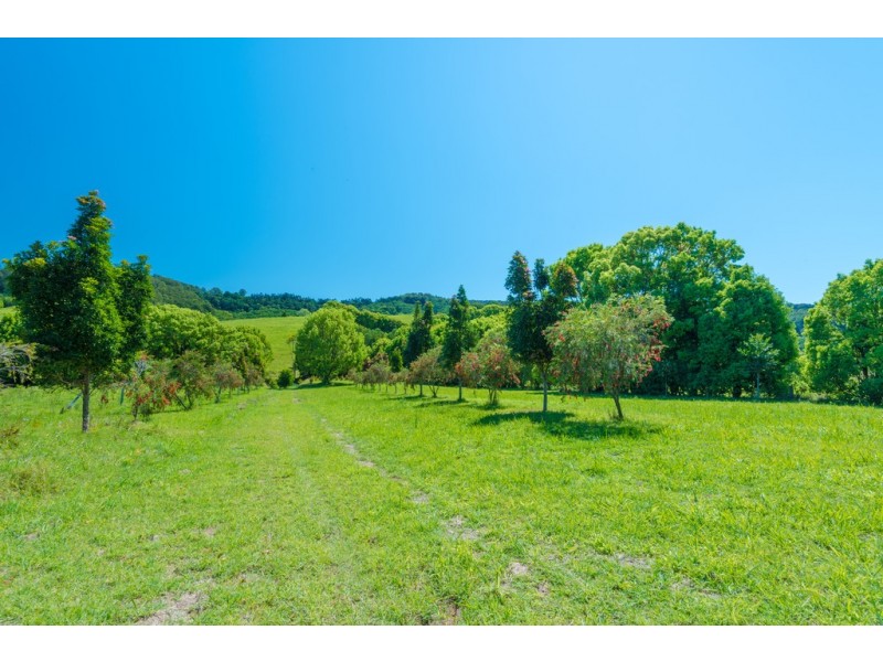 395 Middle Creek Rd, Federal QLD 4568