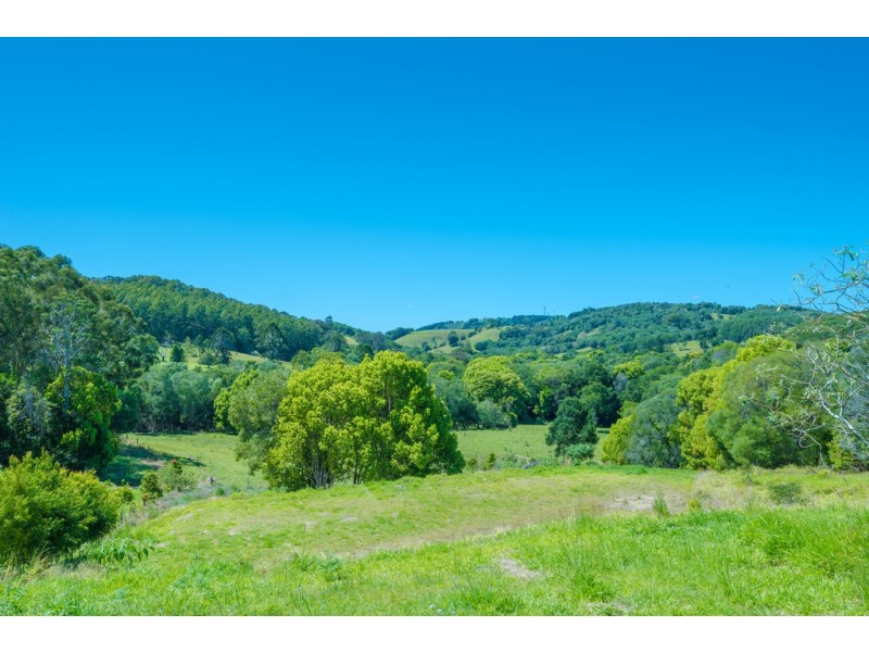 395 Middle Creek Rd, Federal QLD 4568