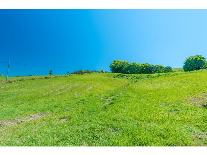 395 Middle Creek Rd, Federal QLD 4568