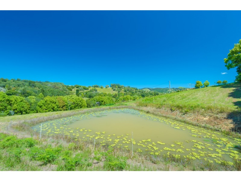 395 Middle Creek Rd, Federal QLD 4568