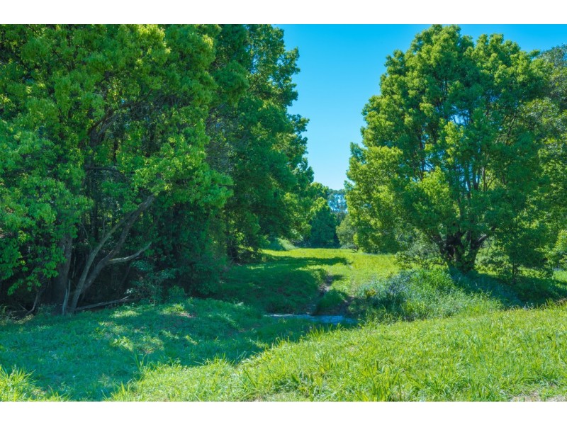 395 Middle Creek Rd, Federal QLD 4568