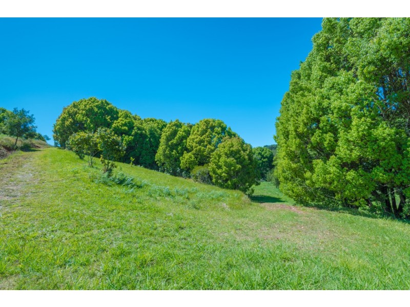 395 Middle Creek Rd, Federal QLD 4568