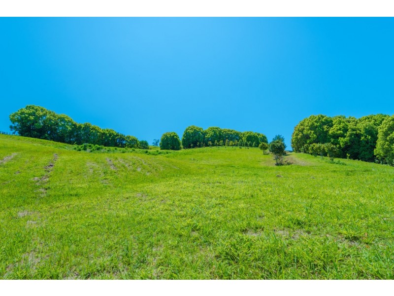 395 Middle Creek Rd, Federal QLD 4568