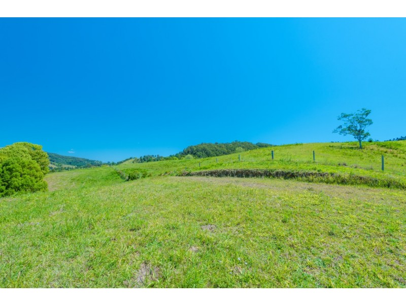 395 Middle Creek Rd, Federal QLD 4568