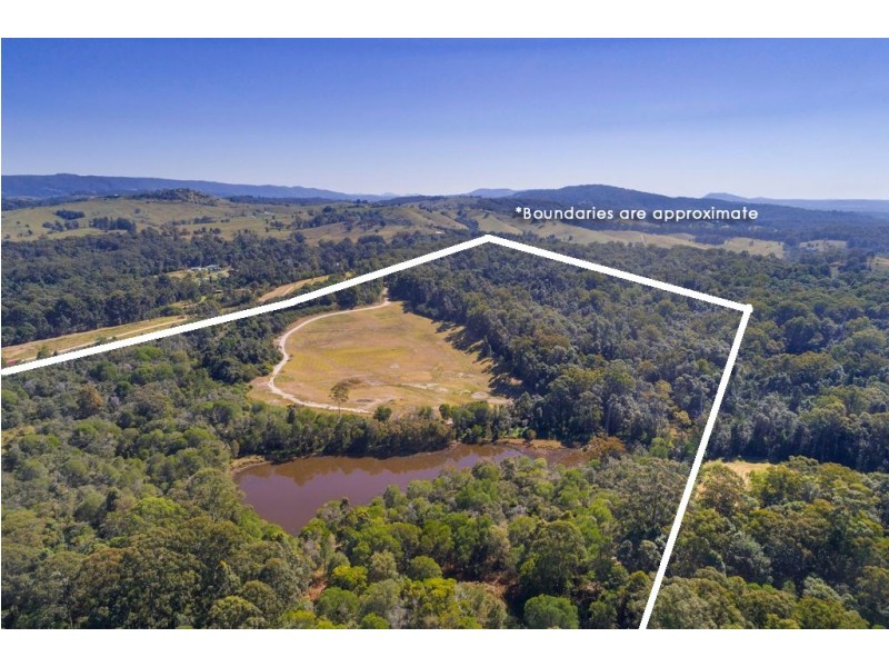 666 Louis Bazzo Drive, Ringtail Creek QLD 4565