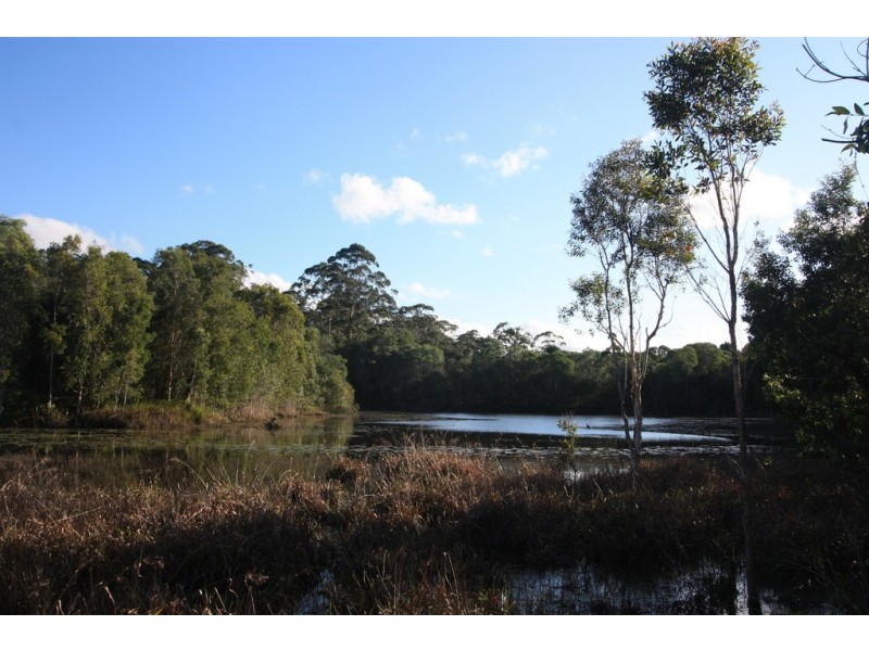 666 Louis Bazzo Drive, Ringtail Creek QLD 4565