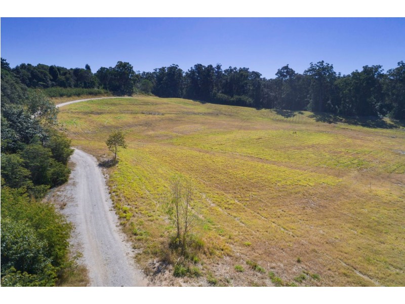 666 Louis Bazzo Drive, Ringtail Creek QLD 4565