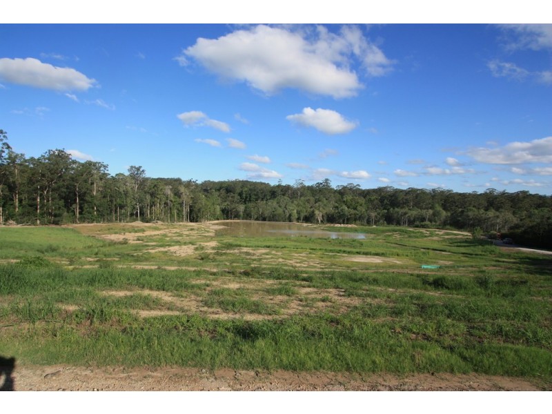 666 Louis Bazzo Drive, Ringtail Creek QLD 4565