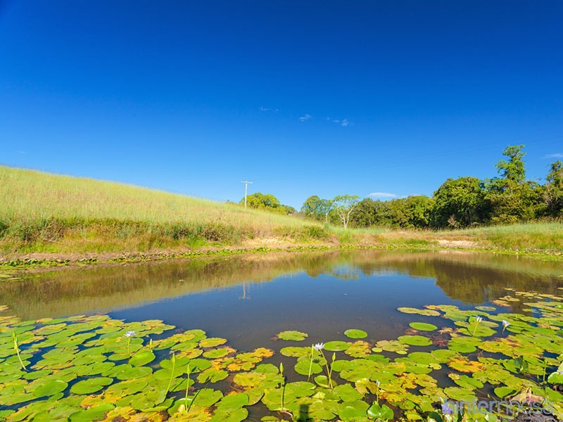 218 Cooroy Belli Creek Rd, Cooroy QLD 4563