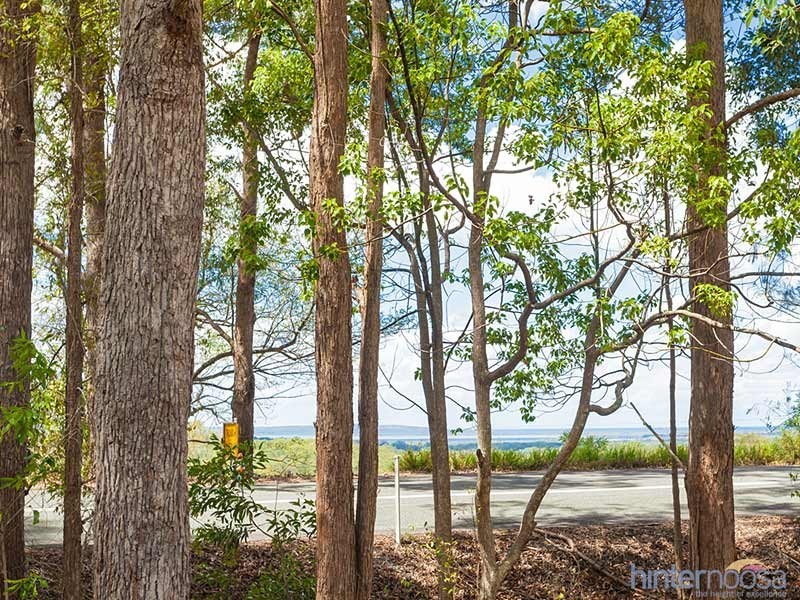 716 Louis Bazzo Drive, Cootharaba QLD 4565