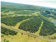 2052 Sandy Creek Rd, Downsfield QLD 4570