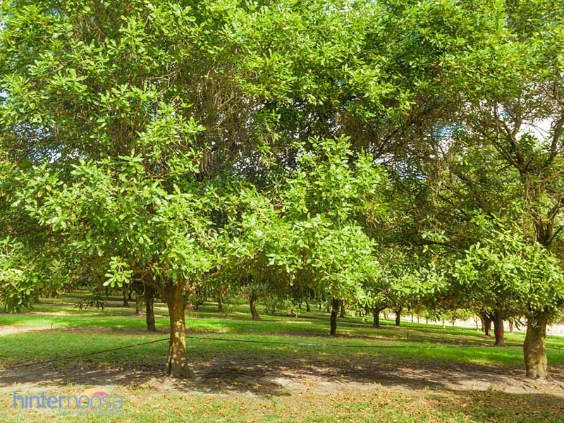 2052 Sandy Creek Rd, Downsfield QLD 4570